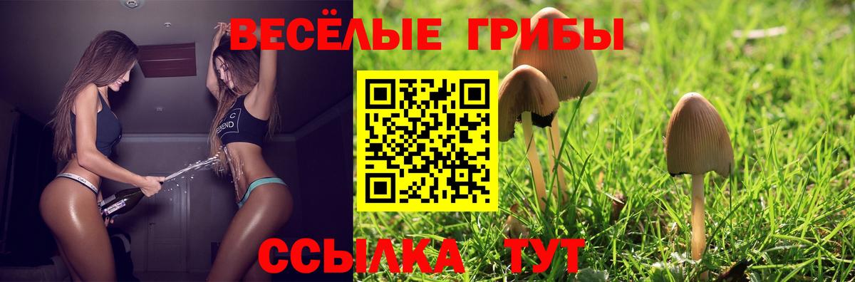 Псилоцибиновые грибы GOLDEN TEACHER  Вход с VPN  Псилоцибиновые грибы мухоморы  Шуя 